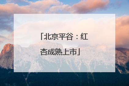 北京平谷：红杏成熟上市